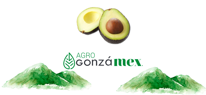 Agro Gonzámez