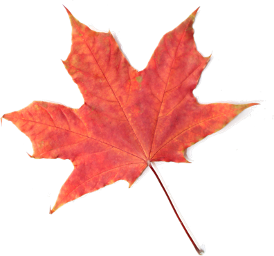 Exportación a Canadá